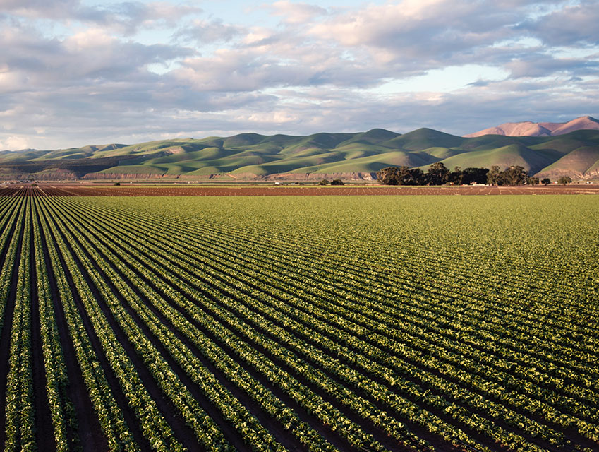 How Using Rendered Animal Proteins Saves Cropland NARA