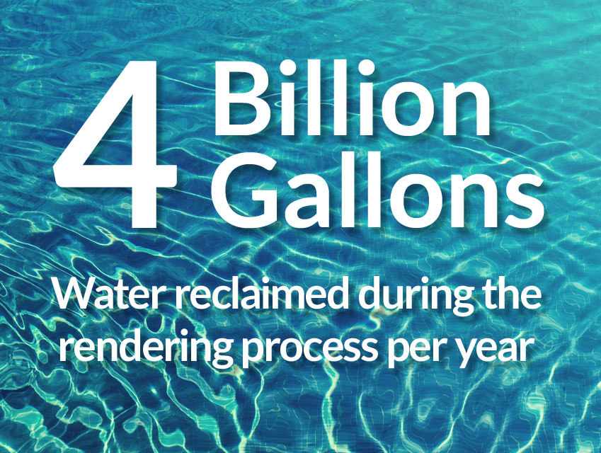 4 billion gallons of water reclaimed during the rendering process