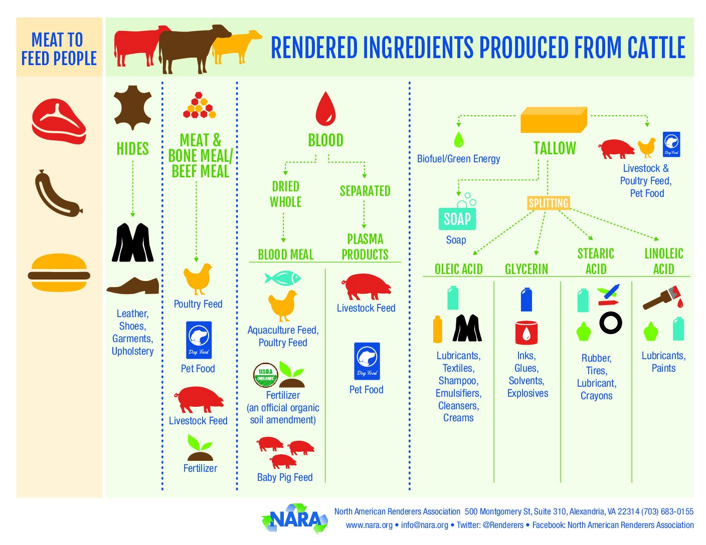 Rendering Ingredients: Produced from Cattle