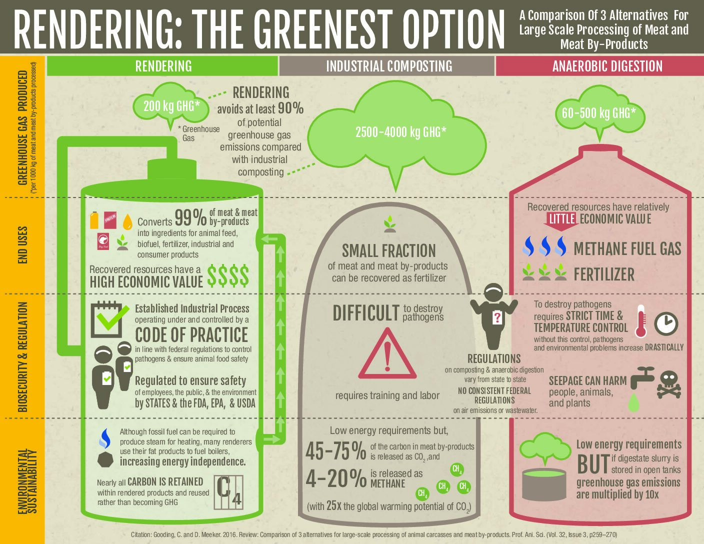 Rendering - The Greenest Option