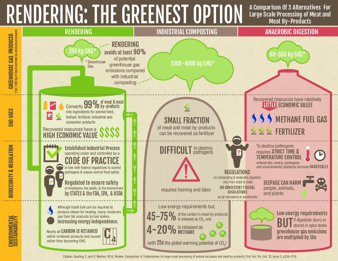 Rendering - The Greenest Option