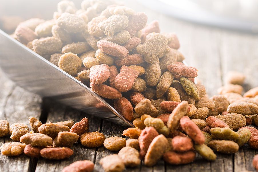 a scoop of dog food is poured into a pile of dog food