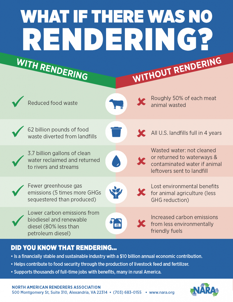 The Importance of Rendering Education | NARA