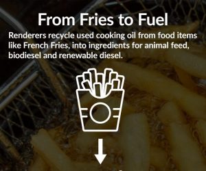 From fries to fuel - renderers recycle used cooking oil