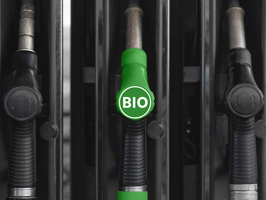 Biofuel Development
