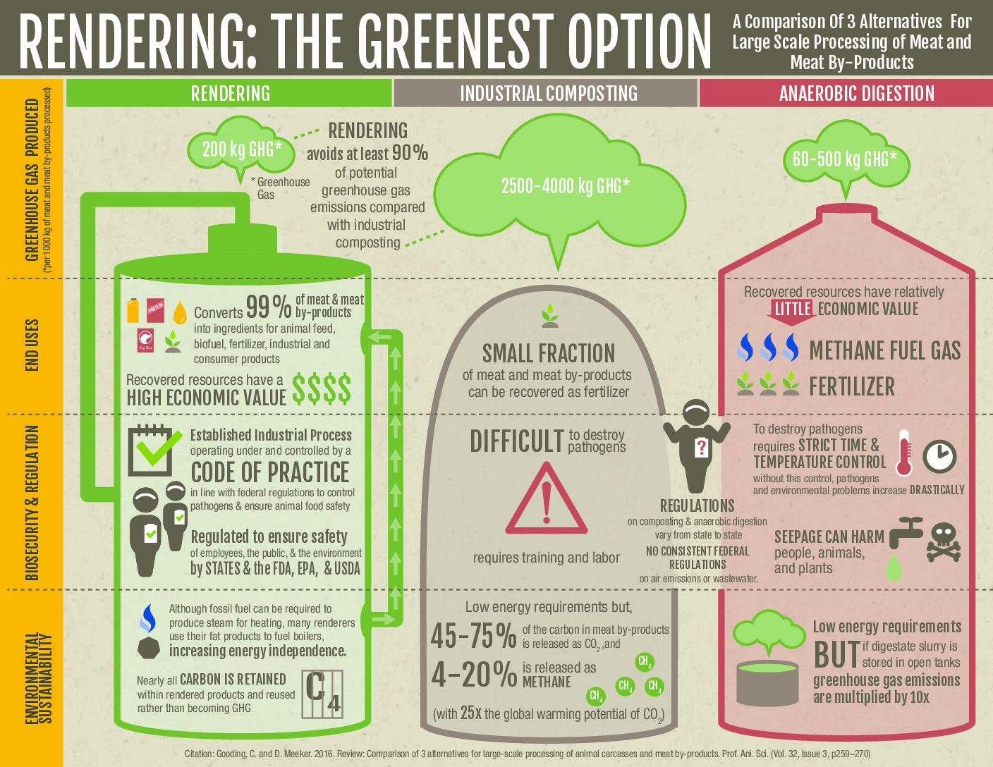 Rendering The Greenest Option